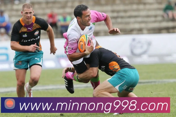 开云平台生态图